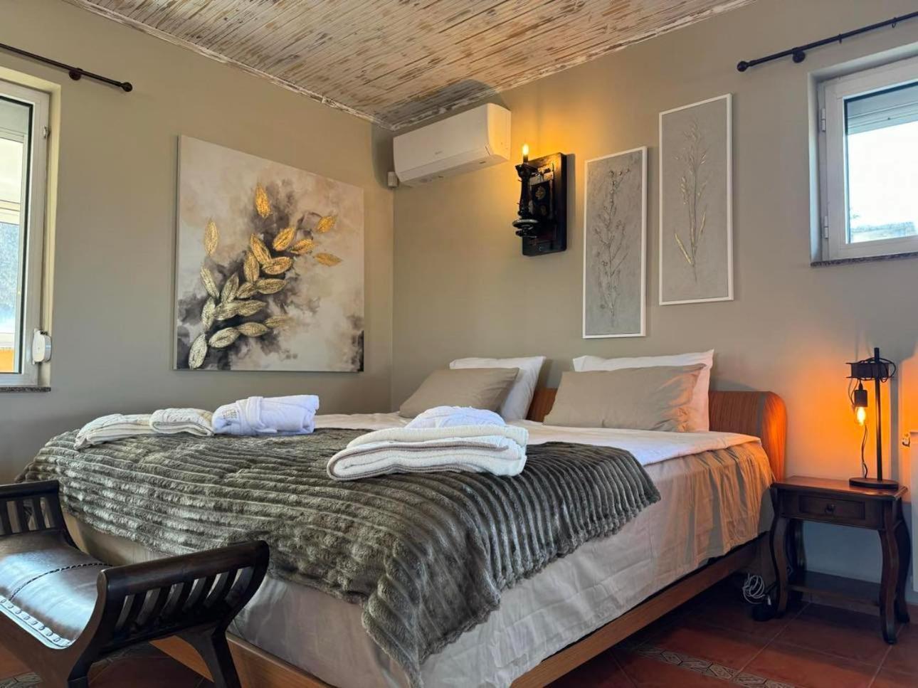 Boyana & Relax Villa Sofia